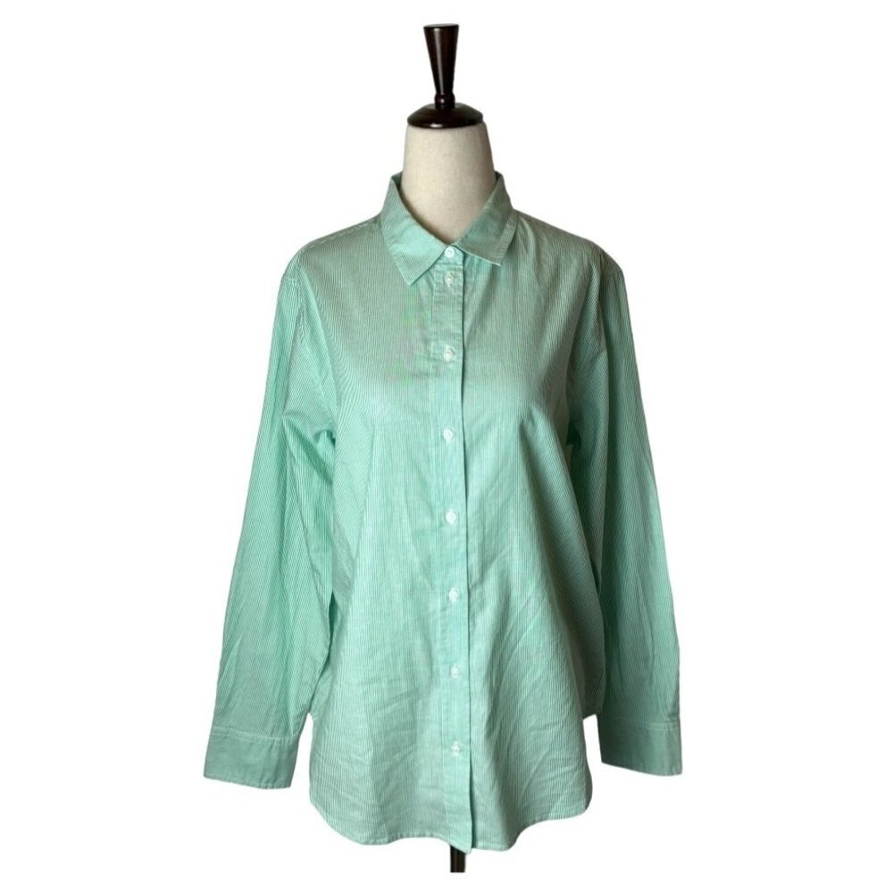 Everlane Mint Green And White Striped Cotton The Relaxed Oxford Shirt Size 4 NWT